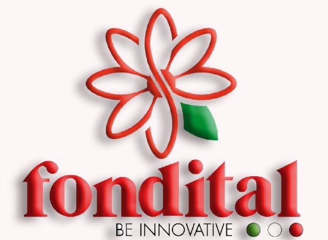 Запасные части к котлам Fondital